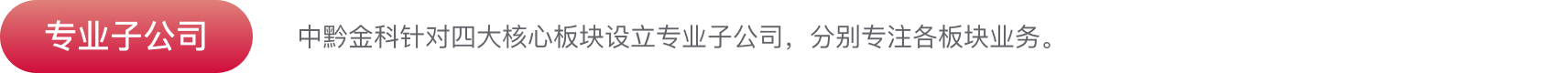 子公司介绍